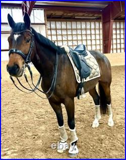 2020 Antares Cadence Dressage Saddle 18 Seat, M/W Tree, FULL BUFFALO Leather