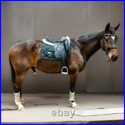 2020 Antares Cadence Dressage Saddle 18 Seat, M/W Tree, FULL BUFFALO Leather