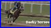 2024_Kentucky_Derby_Horses_Trainers_For_Fierceness_West_Saratoga_And_Sierra_Leone_On_Race_Horses_01_tw