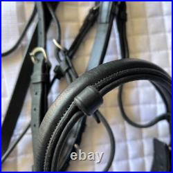 Aramas Raised Padded Dressage Bridle with Flash withLeather Web Reins Black Cob Aramas Raised Padded Dressage Bridle with Flash withLeather Web Reins Black Cob