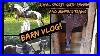 Barn_Vlog_Royal_Sports_Girth_Review_U0026_Jumping_Travis_01_mb