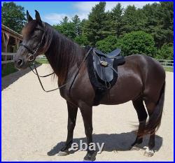 Complete Dressage Tack Package Wintec Saddle 17.5/Leather Bridle/Sheepswool Pad
