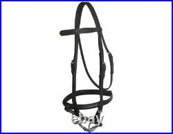 Da Vinci English Bridle Dressage Browband Flash Padded 558219 Da Vinci English Bridle Dressage Browband Flash Padded 558219
