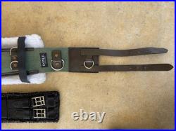 Dover Saddlery Padded Woven & Leather Lunging Horse Training Surcingle