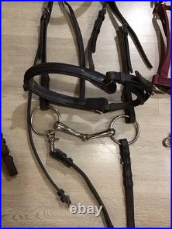 English Bridle Tack Lot English Bridle Tack Lot