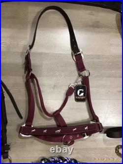 English Bridle Tack Lot English Bridle Tack Lot