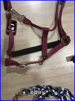 English Bridle Tack Lot English Bridle Tack Lot