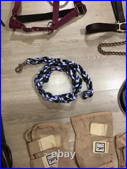 English Bridle Tack Lot English Bridle Tack Lot