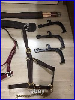 English Bridle Tack Lot English Bridle Tack Lot