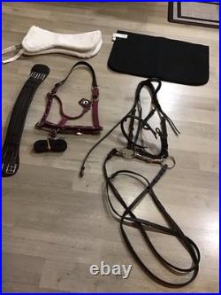 English Dressage Bridle Tack Lot English Dressage Bridle Tack Lot