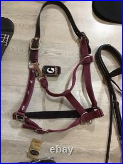 English Dressage Bridle Tack Lot English Dressage Bridle Tack Lot