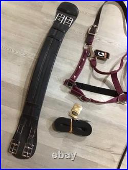English Dressage Bridle Tack Lot English Dressage Bridle Tack Lot