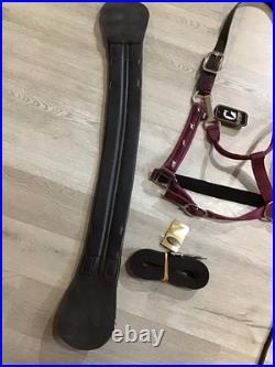 English Dressage Bridle Tack Lot English Dressage Bridle Tack Lot