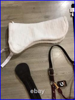 English Dressage Bridle Tack Lot English Dressage Bridle Tack Lot