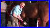 Farrier_Quick_Takes_Red_Renchin_Techniques_For_Lifting_A_Belligerent_Horse_S_Foot_01_to