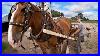 Fitting_New_Wooden_Shafts_To_A_Single_Horse_Tedding_Hay_With_Lady_01_licp