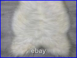 Genuine Sheepskin Rug 100% Natural Pelt Grade A Quality Single Home Decor Accent