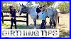 Girthing_Your_Saddle_Not_As_Simple_As_It_Sounds_W_Hanequestrian_01_ucds