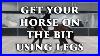 How_To_Get_Your_Horse_On_The_Bit_Using_Your_Legs_Dressage_Mastery_Tv_Episode_98_01_izfr