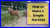 How_To_Make_A_Simple_Mini_Horse_Training_Harness_01_cbns