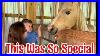 How_To_Pass_On_Horse_Knowledge_Farrier_Teaches_Skills_Rita_Misbehaves_01_wqh