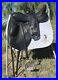 NEW_N2_Saddlery_Vincitore_18_5_Dressage_saddle_with_N2_girth_leathers_irons_01_ea