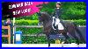New_Look_New_Horses_Edward_Gal_Is_On_Top_At_The_Dutch_Dressage_Championships_With_Team_Totilas_01_fcd