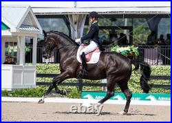 PINK Adam Ellis Dressage Saddle, 17.5 M/W + Girth & Stirrup Leathers