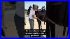 Tooooo_Stretchy_Of_A_Cinch_Doesn_T_Help_A_Saddle_Fit_Skintightpants_Saddlefitting_Horse_01_ezyb