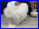 Unique_Sheepskin_Brown_Genuine_Beautiful_Natural_Rug_Pelt_Throw_Pet_Bed_01_op
