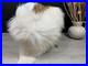 Unique_Sheepskin_Brown_Genuine_Beautiful_Natural_Rug_Pelt_Throw_Pet_Bed_01_upx