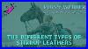 Which_Stirrup_Leathers_Do_I_Need_A_Quick_Chat_About_The_Different_Types_01_yojf