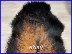 XXL Sheepskin Brown Genuine Exquisite Beautiful Natural Rug Pelt Throw Pet Bed XXL Sheepskin Brown Genuine Exquisite Beautiful Natural Rug Pelt Throw Pet Bed